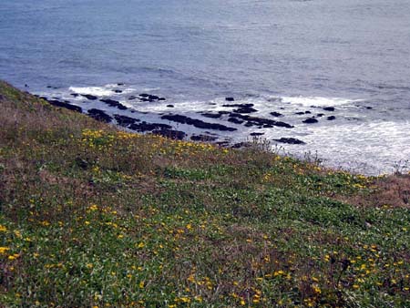 IMGP2275